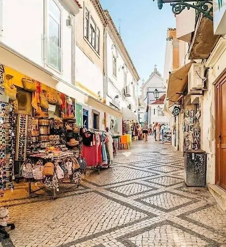 T1 Centro Lejlighed *